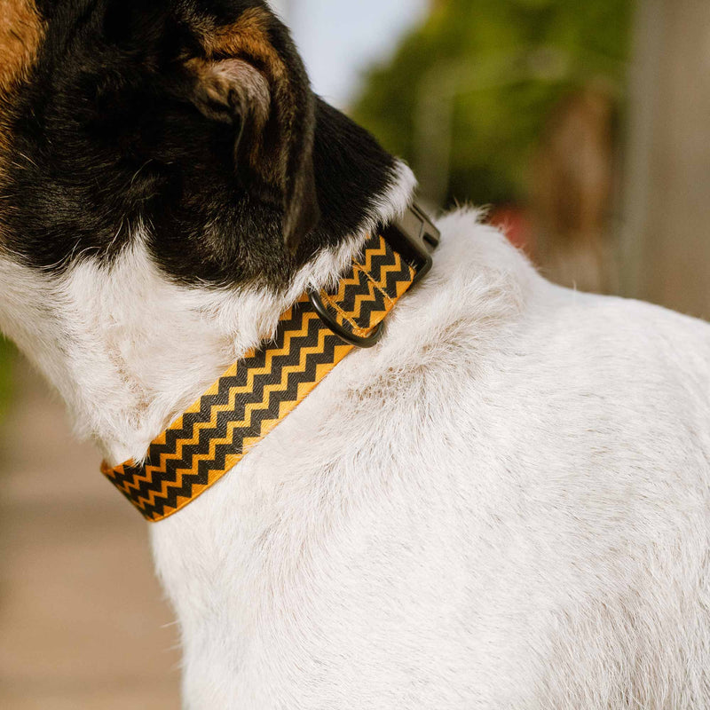 Dogs Collar Adjustable for Small & Medium Pets ‘CHARLIE’