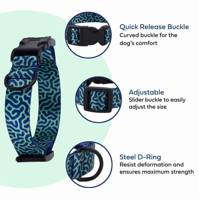 Dog Collar Adjustable for Small & Medium Dogs ‘TURING'