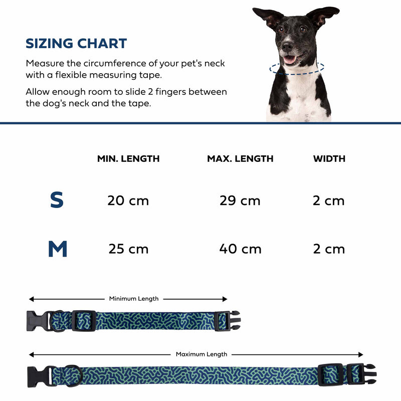 Dog Collar Adjustable for Small & Medium Dogs ‘TURING'